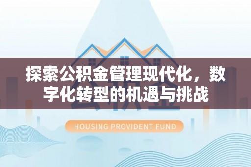 定南探索公积金管理现代化，数字化转型的机遇与挑战