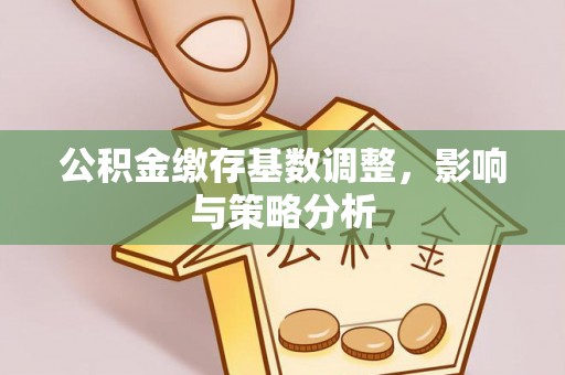 定南公积金缴存基数调整，影响与策略分析