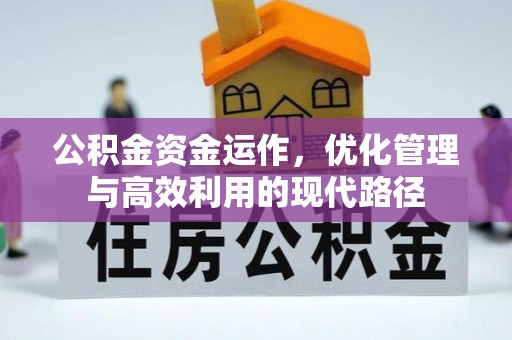 定南公积金资金运作，优化管理与高效利用的现代路径