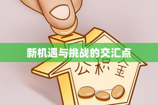 定南新机遇与挑战的交汇点