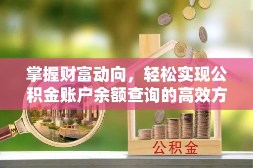 定南掌握财富动向，轻松实现公积金账户余额查询的高效方式