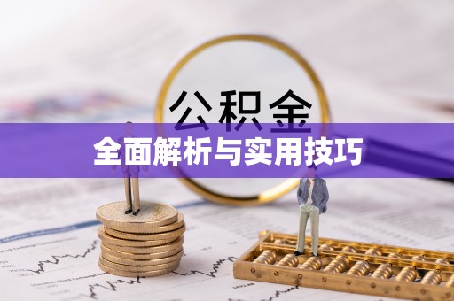 定南全面解析与实用技巧
