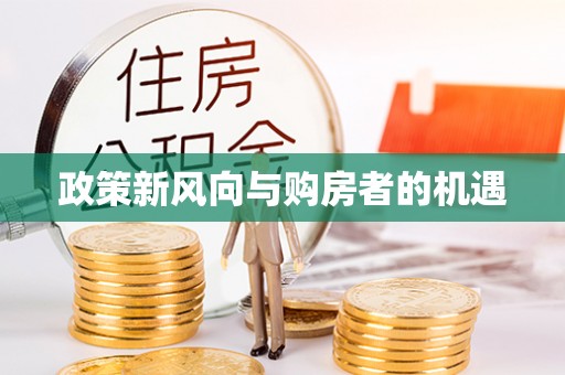 定南政策新风向与购房者的机遇