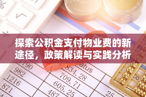 定南探索公积金支付物业费的新途径，政策解读与实践分析