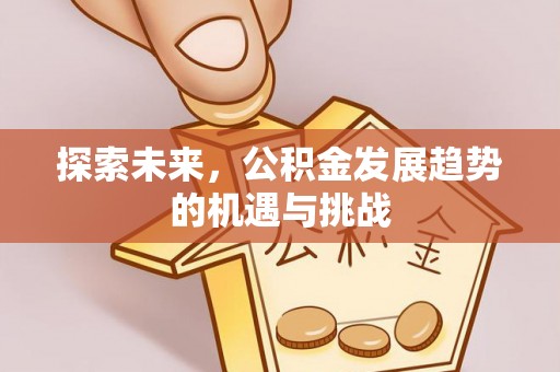 定南探索未来，公积金发展趋势的机遇与挑战