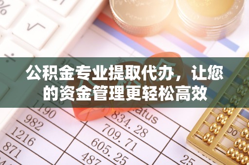 定南公积金专业提取代办，让您的资金管理更轻松高效