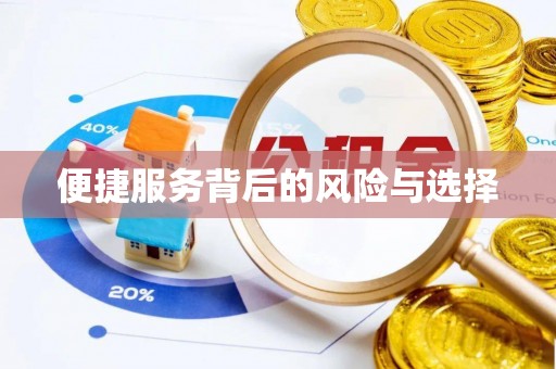 定南便捷服务背后的风险与选择