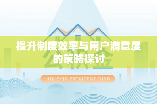 定南提升制度效率与用户满意度的策略探讨